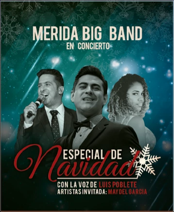 Cartel de Especial de Navidad